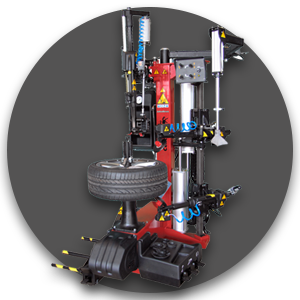 1. Car & Light Truck Segment 300X300.png